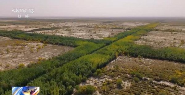 点登富 《“三北”工程总体规划》明确哪些目标任务？解读来了