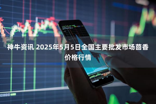 神牛资讯 2025年5月5日全国主要批发市场茴香价格行情